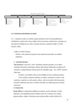 Biznesa plāns 'Biznesa plāns nekustamo īpašumu firmas izveidei', 30.