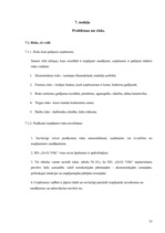 Biznesa plāns 'Biznesa plāns nekustamo īpašumu firmas izveidei', 33.