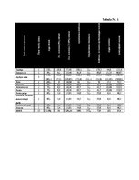 Biznesa plāns 'Biznesa plāns nekustamo īpašumu firmas izveidei', 48.