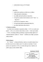 Biznesa plāns 'SIA "Dārzenis"', 6.