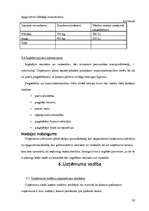 Biznesa plāns 'SIA "Dārzenis"', 20.