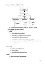 Biznesa plāns 'SIA "Dārzenis"', 21.