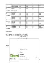 Biznesa plāns 'SIA "Dārzenis"', 33.