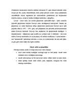 Referāts 'Mūsdienu starptautiskā sistēma: mazu valstu iespējas un ierobežojumi', 7.