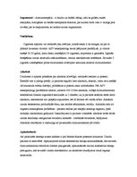 Referāts 'Vīriešu seksualitātes traucējumi, impotence', 3.