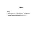 Referāts 'Uzņēmuma atrašanās vietas analīze', 1.