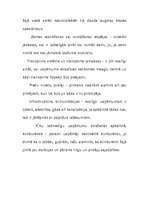 Referāts 'Uzņēmuma atrašanās vietas analīze', 5.