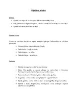 Konspekts 'Gļotādas uzbūve', 1.