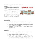 Konspekts 'Gļotādas uzbūve', 3.