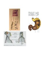 Konspekts 'Gļotādas uzbūve', 4.