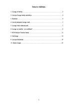 Referāts 'Līzings', 2.