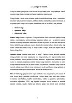 Referāts 'Līzings', 3.