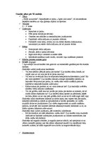 Paraugs 'Angļu valodas stundas plāns pēc 5E modeļa', 1.