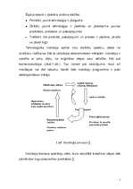Referāts 'Inovāciju definīcijas, veidi', 5.