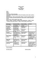 Konspekts 'Mācību stundu plāni vēsturē 6. klasei', 2.