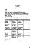 Konspekts 'Mācību stundu plāni vēsturē 6. klasei', 8.