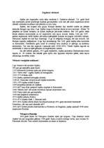 Referāts 'Japāna', 1.