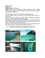 Prezentācija 'Zili-zaļā krāsa', 12.