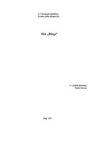 Biznesa plāns 'SIA "Diegs" biznesa plāns', 1.