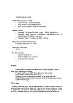 Biznesa plāns 'SIA "Diegs" biznesa plāns', 8.