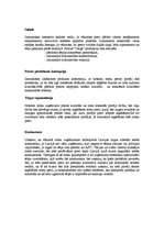 Biznesa plāns 'SIA "Diegs" biznesa plāns', 9.