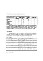 Biznesa plāns 'SIA "Diegs" biznesa plāns', 10.