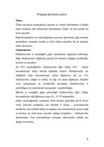 Referāts 'Cūkgaļa', 5.