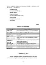 Biznesa plāns 'Atpūtas bāzes biznesa plāns', 12.