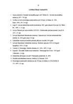 Referāts 'Sociālā stratifikācija', 19.