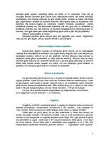 Referāts 'Gāze Latvijā', 3.