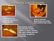 Prezentācija 'Leonardo da Vinči gleznojumi un izgudrojumi', 10.