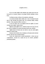 Referāts 'Apģērbs renesansē', 5.