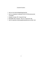Referāts 'Apģērbs renesansē', 8.