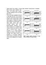 Konspekts 'Mežizstrādes ainavas modelēšana Ziemeļrietumu Viskonsīnas "Pine Barrents" audzēs', 4.