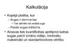 Konspekts 'Mežizstrādes ainavas modelēšana Ziemeļrietumu Viskonsīnas "Pine Barrents" audzēs', 12.