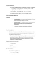 Konspekts 'Galvenais publiskajās tiesībās', 1.