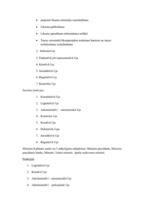 Konspekts 'Galvenais publiskajās tiesībās', 2.