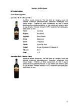 Referāts 'Vīna gatavošana Austrālijā un Jaunzēlandē', 17.