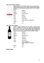 Referāts 'Vīna gatavošana Austrālijā un Jaunzēlandē', 21.