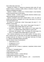 Prakses atskaite 'Profesionālās prakses pārskats', 5.