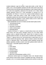 Prakses atskaite 'Profesionālās prakses pārskats', 14.