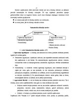 Prakses atskaite 'Profesionālās prakses pārskats', 17.
