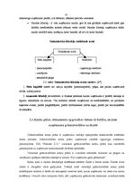 Prakses atskaite 'Profesionālās prakses pārskats', 18.