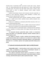 Prakses atskaite 'Profesionālās prakses pārskats', 19.