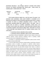 Prakses atskaite 'Profesionālās prakses pārskats', 26.