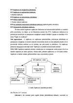 Prakses atskaite 'Profesionālās prakses pārskats', 33.