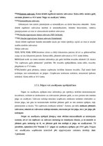 Prakses atskaite 'Profesionālās prakses pārskats', 36.