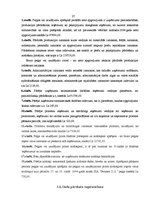 Prakses atskaite 'Profesionālās prakses pārskats', 37.