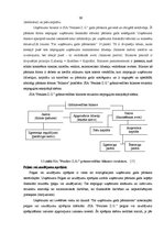 Prakses atskaite 'Profesionālās prakses pārskats', 39.