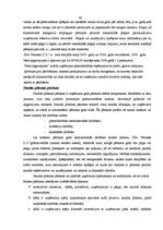 Prakses atskaite 'Profesionālās prakses pārskats', 40.